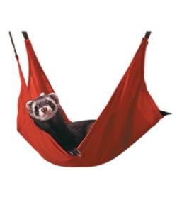 hammock